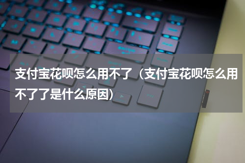 支付宝花呗怎么用不了（支付宝花呗怎么用不了了是什么原因）