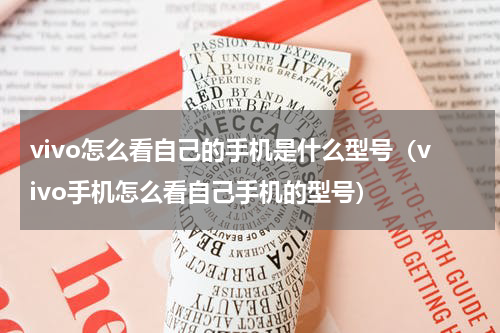 vivo怎么看自己的手机是什么型号（vivo手机怎么看自己手机的型号）