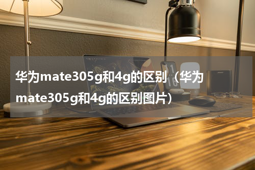 华为mate305g和4g的区别（华为mate305g和4g的区别图片）
