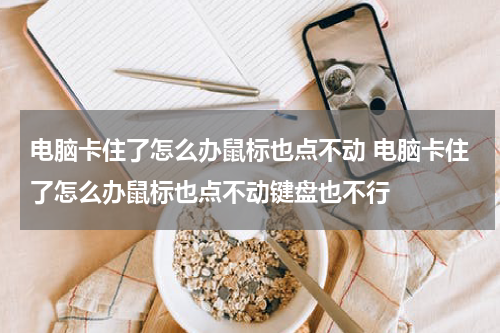 电脑卡住了怎么办鼠标也点不动 电脑卡住了怎么办鼠标也点不动键盘也不行