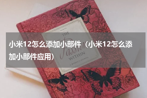小米12怎么添加小部件（小米12怎么添加小部件应用）