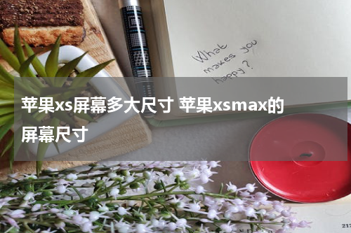 苹果xs屏幕多大尺寸 苹果xsmax的屏幕尺寸