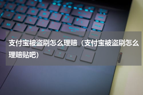 支付宝被盗刷怎么理赔（支付宝被盗刷怎么理赔贴吧）