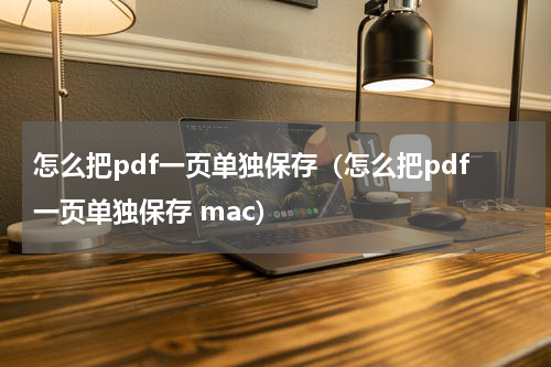 怎么把pdf一页单独保存（怎么把pdf一页单独保存 mac）