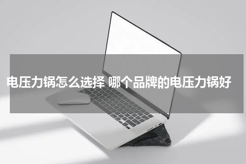 电压力锅怎么选择 哪个品牌的电压力锅好