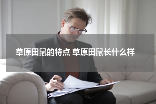 草原田鼠的特点 草原田鼠长什么样