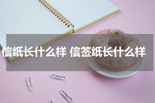 信纸长什么样 信签纸长什么样