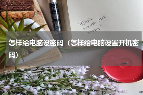 怎样给电脑设密码（怎样给电脑设置开机密码）