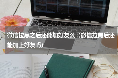 微信拉黑之后还能加好友么（微信拉黑后还能加上好友吗）