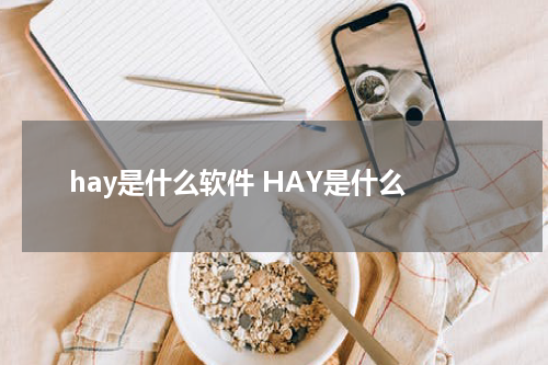 hay是什么软件 HAY是什么