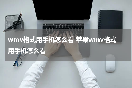 wmv格式用手机怎么看 苹果wmv格式用手机怎么看