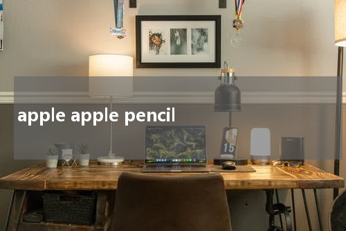 apple apple pencil