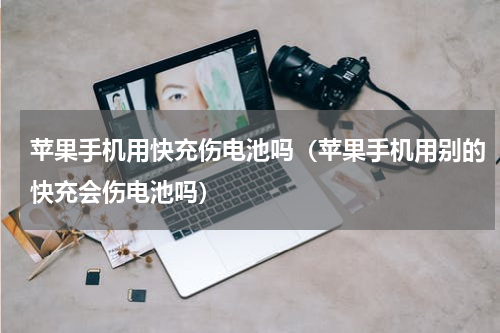 苹果手机用快充伤电池吗（苹果手机用别的快充会伤电池吗）