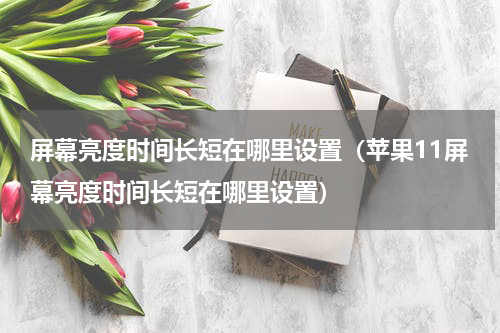 屏幕亮度时间长短在哪里设置（苹果11屏幕亮度时间长短在哪里设置）