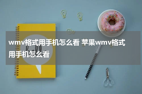 wmv格式用手机怎么看 苹果wmv格式用手机怎么看