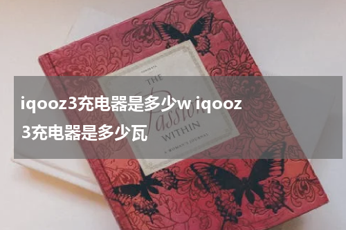 iqooz3充电器是多少w iqooz3充电器是多少瓦