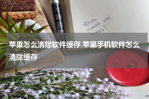 苹果怎么清除软件缓存 苹果手机软件怎么清除缓存
