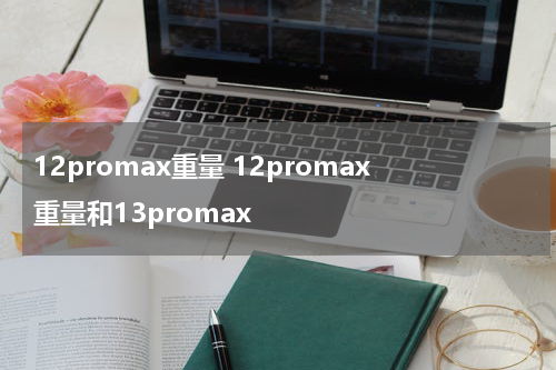 12promax重量 12promax重量和13promax