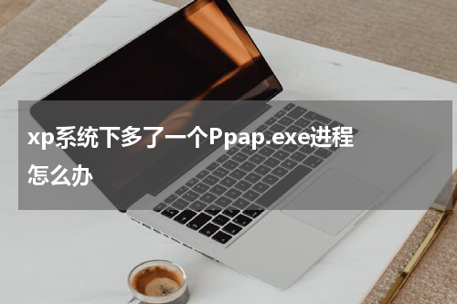 xp系统下多了一个Ppap.exe进程怎么办