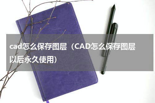 cad怎么保存图层（CAD怎么保存图层以后永久使用）