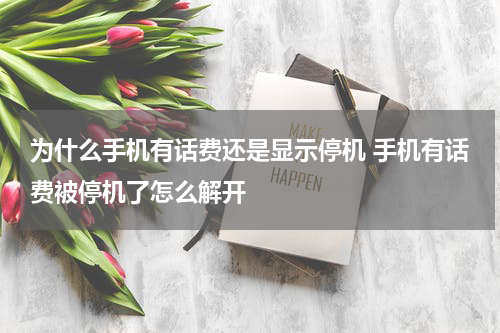 为什么手机有话费还是显示停机 手机有话费被停机了怎么解开