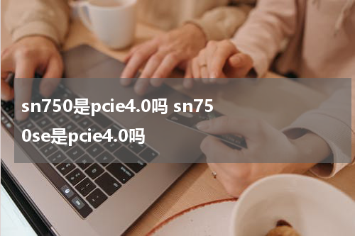 sn750是pcie4.0吗 sn750se是pcie4.0吗