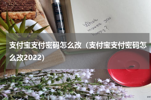 支付宝支付密码怎么改（支付宝支付密码怎么改2022）