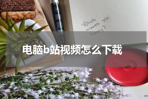 电脑b站视频怎么下载