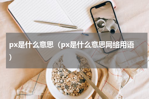 px是什么意思（px是什么意思网络用语）
