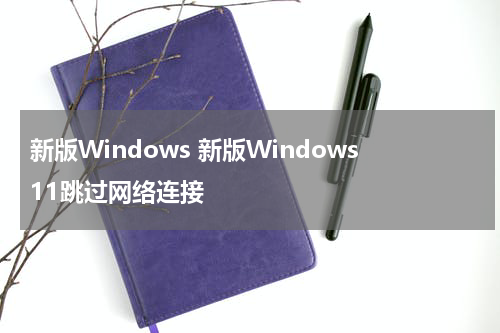 新版Windows 新版Windows11跳过网络连接