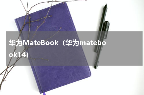 华为MateBook（华为matebook14）