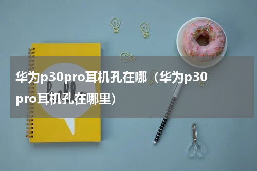 华为p30pro耳机孔在哪（华为p30pro耳机孔在哪里）