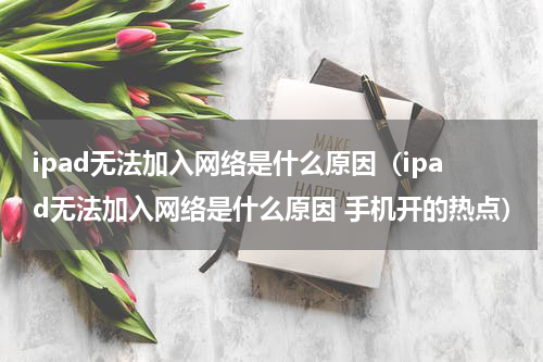 ipad无法加入网络是什么原因（ipad无法加入网络是什么原因 手机开的热点）