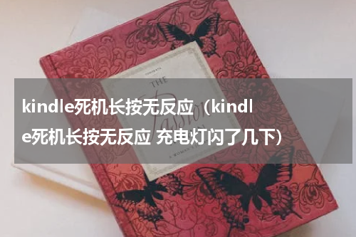 kindle死机长按无反应（kindle死机长按无反应 充电灯闪了几下）