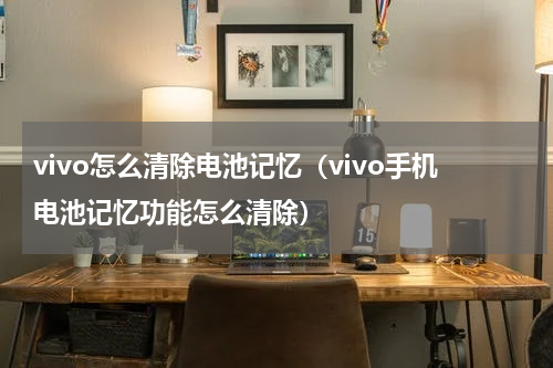 vivo怎么清除电池记忆（vivo手机电池记忆功能怎么清除）