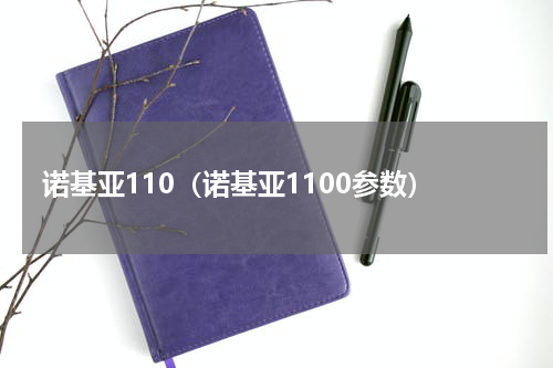 诺基亚110（诺基亚1100参数）