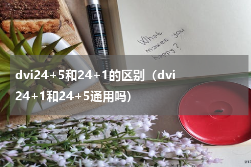 dvi24+5和24+1的区别（dvi24+1和24+5通用吗）