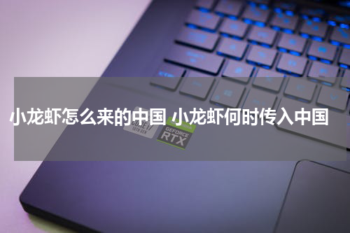 小龙虾怎么来的中国 小龙虾何时传入中国