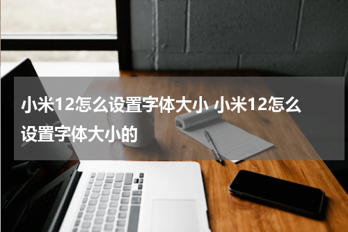 小米12怎么设置字体大小 小米12怎么设置字体大小的