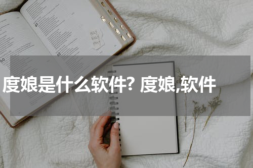 度娘是什么软件? 度娘,软件