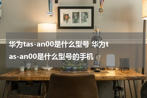 华为tas-an00是什么型号 华为tas-an00是什么型号的手机
