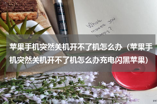 苹果手机突然关机开不了机怎么办（苹果手机突然关机开不了机怎么办充电闪黑苹果）