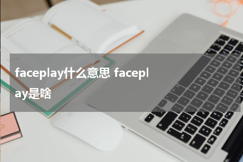 faceplay什么意思 faceplay是啥
