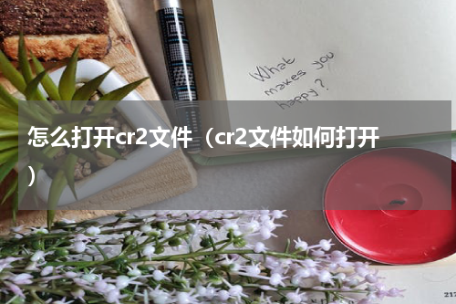 怎么打开cr2文件（cr2文件如何打开）