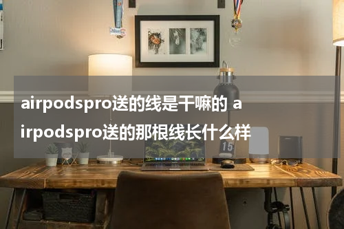 airpodspro送的线是干嘛的 airpodspro送的那根线长什么样
