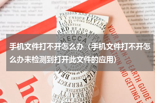 手机文件打不开怎么办（手机文件打不开怎么办未检测到打开此文件的应用）