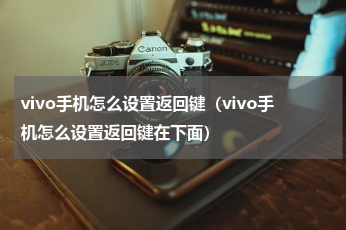 vivo手机怎么设置返回键（vivo手机怎么设置返回键在下面）