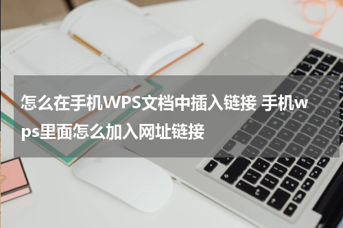 怎么在手机WPS文档中插入链接 手机wps里面怎么加入网址链接