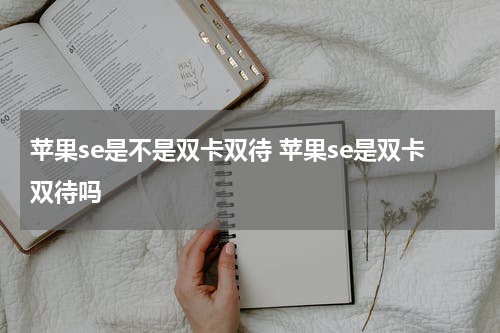 苹果se是不是双卡双待 苹果se是双卡双待吗