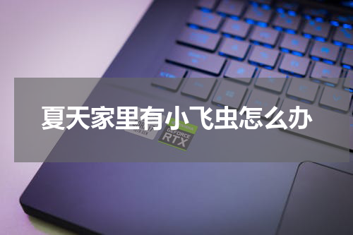 夏天家里有小飞虫怎么办